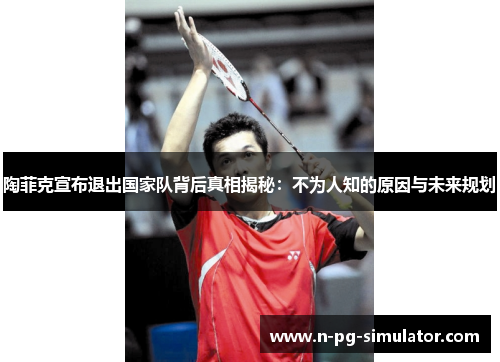 陶菲克宣布退出国家队背后真相揭秘：不为人知的原因与未来规划