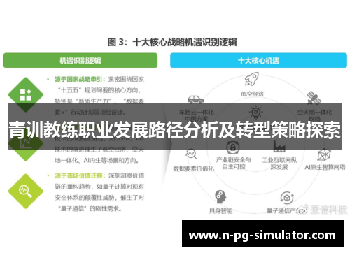 青训教练职业发展路径分析及转型策略探索