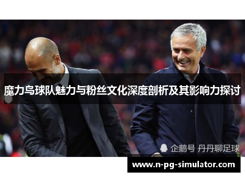 魔力鸟球队魅力与粉丝文化深度剖析及其影响力探讨