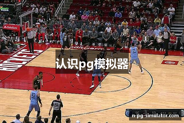 认识pg模拟器